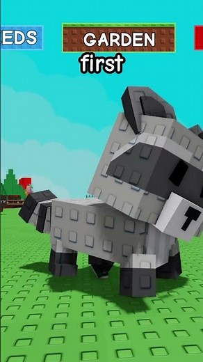 How to get Raccoon PET in Roblox Grow a Garden.. 🦝🦝🦝