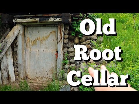 Our 1920's Root Cellar