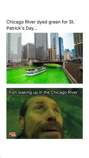 Fish's first day in the green Chicago River #shorts #meme #funny