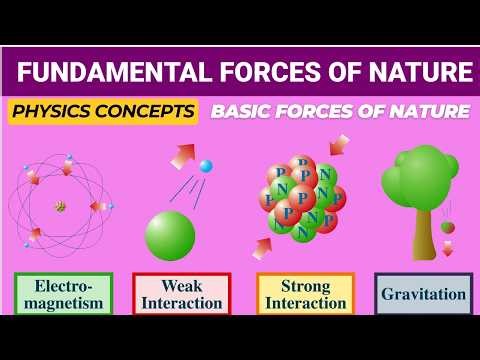 Basic Forces of Nature Explained | Fundamental Forces in Physics | Class 12 Physics