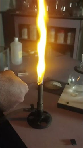 Sodium Flame Test PBA Practical | Class 10 Chemistry Experiment