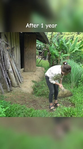 After 1 year #mybushcraft #offgridliving #offgridcabin #survival #bush #fypシ #viral