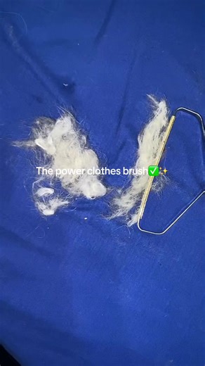 Effective Methods to Remove Pet Hair from Clothes