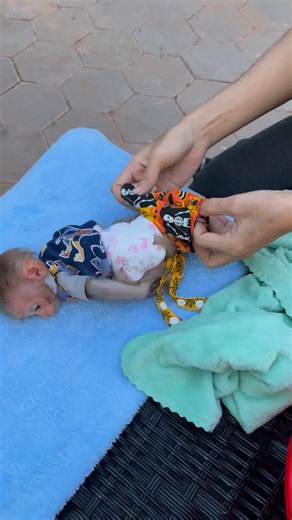 Good baby! Stays still for clothes time 🐒🍼😄 #monkey #pet #MonkeyLife #PetRehoming #cute #animals | Monkey Loader