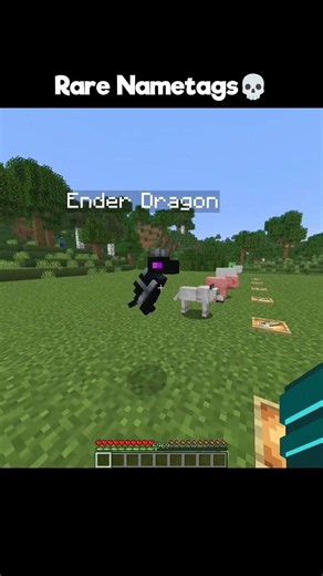 Minecraft Rare Nametags 💀