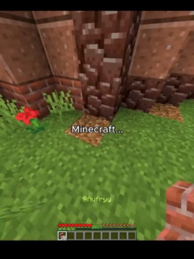 Minecraft: Cachorro com Skin Nova Chega para Proteger!