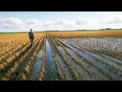 2021 Call for Code Global Challenge — IBM Developer