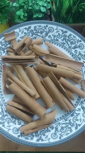 Dalchini ke fayde 😍Benefits of cinnamon Dalchiniby Rajiv Dixit Ji #shorts​​​​​​ #ytviral​​​​​​ #food