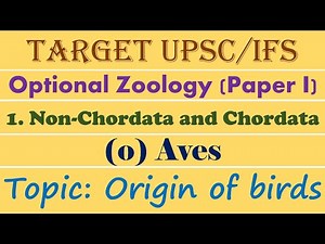 Origin of Birds | Theories | Zoology | UG | PG | UPSC | IFSE
