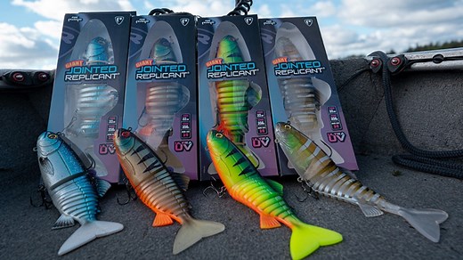 23K views · 308 reactions | Les JOINTED 27 et 32cm sont disponibles ! 襤 | Fox Rage | Facebook