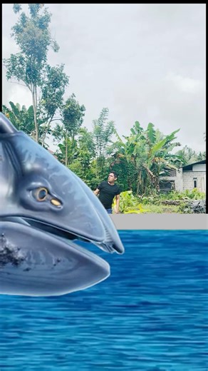 Biggest whale comparison #animation