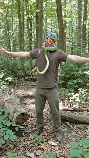 Snake around a man neck 0817