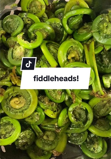 Delicious Fiddleheads: How to Prep and Enjoy Them