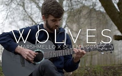 【指弹吉他】Wolves - Marshmello, Selena Gomez【Janis Mathieu】