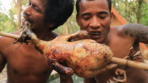 35K views · 730 reactions | Pegar pato selvagem no jantar - Catch and Cook | Primitive Survival Tool | Facebook