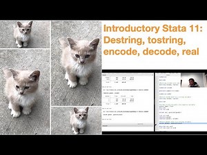 Introductory Stata 11: Convert String Var to Numeric Var