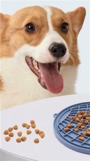 Slow Feeder Pad for Bathing, Training & Anxiety Relief