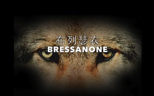 世界名曲《Bressanone布列瑟农》，听一遍感动一辈子！