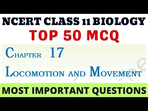 Best MCQ Class 11 Locomotion and Movement | Class 11 Biology MCQ