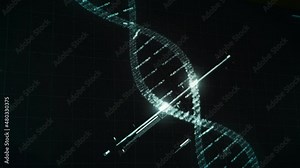 3d Computer Graphics. Digital Board Goes Through Chromosomes And Gathers Medical Data. Cells Contain Genetic Information. Analysing DNA Structure To Study Cell Condition. Cells In Scientific Research. Stock Video