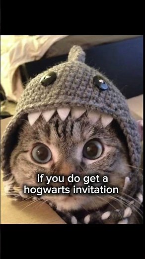 how to become a wizard tutorial part 20 #cat #usefultips #helpful