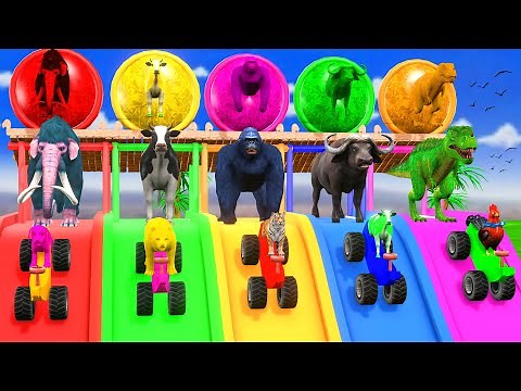 Paint & Animals Cow,Gorilla,Elephant,Lion,Tiger,Dinosaur, Fountain Crossing Transformation Cartoon