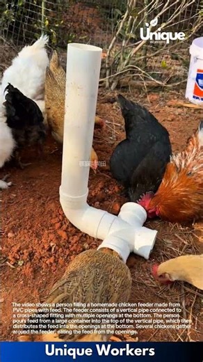 DIY Chicken Feeder: Build a Simple PVC Pipe Feeder
