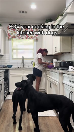 My new favorite words 🤣 #blessed #labradorretriever #dogmom #funny #petsontiktok @Bud & Bear The Black Labs