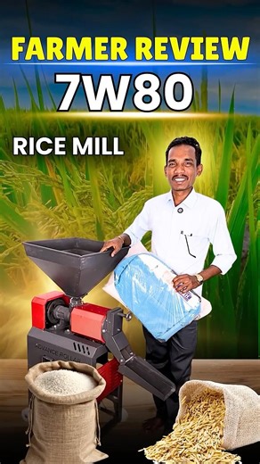 New 7W80 Rice Mill Machine Review | Best Small Rice Mill for Village Business #ricemill