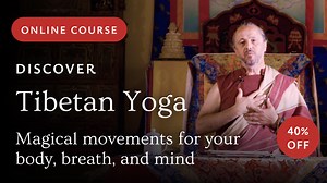 🎉 Save 40% and Discover Tibetan Yoga with Dr. Alejandro Chaoul! Embark on a journey into trul khor, also known as the "magical movements" of Tibetan yoga, with this groundbreaking Wisdom Academy course. 🧘‍♂️ ✨ Save 40% when you sign up before March 5, 2024 with code TY2402. Begin your journey: https://rebrand.ly/ty_2024_p1 ✨Why Tibetan Yoga? While many in the West are familiar with yoga for physical health, the ancient and profound tradition of Tibetan yoga has often remained secretive. The pr