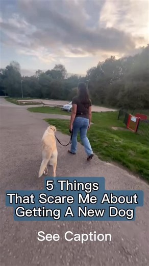 16 reactions · 6 comments | A bit of an honest one coming up. I’m a...