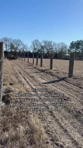 Embracing the Modern Cowboy Lifestyle