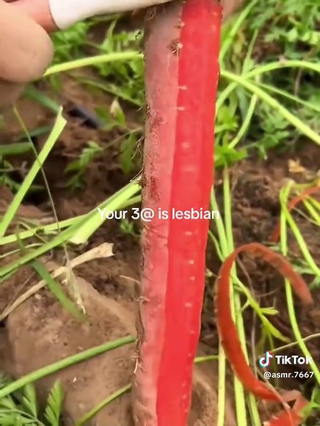 Discover Amazing Fruits: A Relaxing ASMR Experience