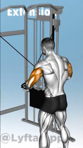 Top 5 Triceps Exercises using Cable 💪🔥