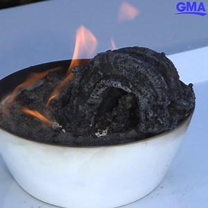 176K views · 467 reactions | Ginger Zee and her kids show us how to make a "Fire Snake" with this fun experiment!  https://gma.abc/2kZrVEQ | Good Morning America | Facebook