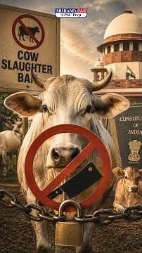 Supreme Court's Big Cow Slaughter Case !