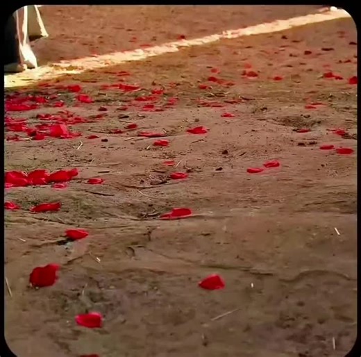 N'oublie jamais que Jésus t'aime❤️ #yechua #virale #pourtoiii #jesus #vue