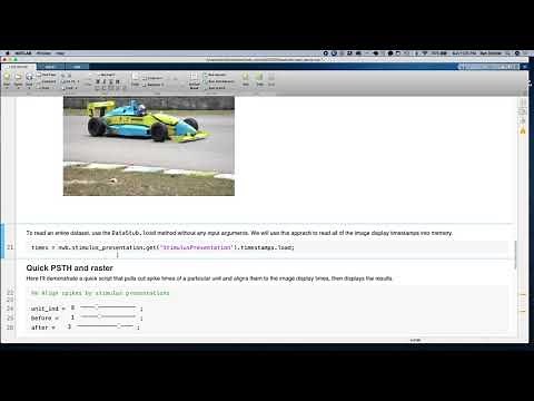 Reading NWB Files using MatNWB Tutorial