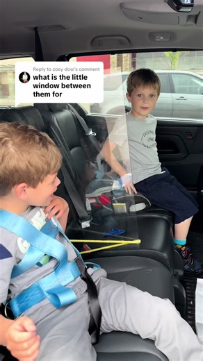 Keeping Kids Safe in Cars with Plexiglass Divider