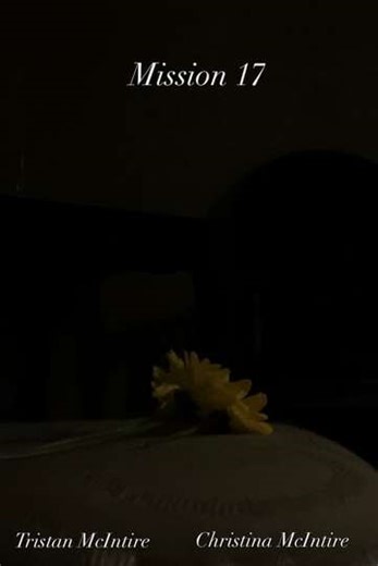 Mission 17 (2021) - Movie
