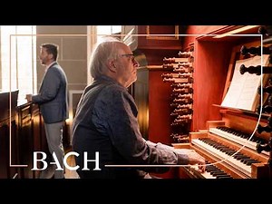Bach - Schaffs mit mir, Gott, nach deinem Willen BWV 514 - Johannsen | Netherlands Bach Society