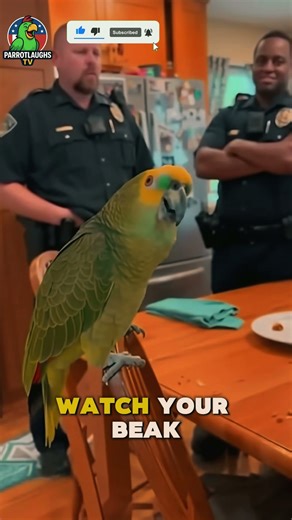 Talking Parrot Makes Police Laughs. #shorts #viralshorts #parrottalking #parrotjokes #parrotroast