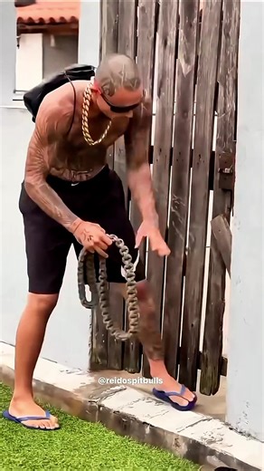 K9 Dog Breeds Showcased on TikTok