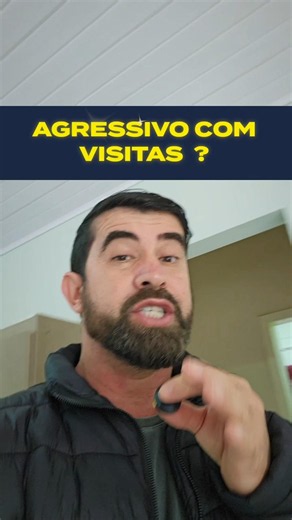 Agressividade: Cães que atacam as visitas..