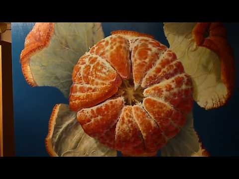 "La Mandarine éclatée" Huile sur toile de Gérard Dubois