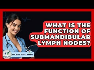 What Is The Function Of Submandibular Lymph Nodes? - Ear Nose Throat Expert