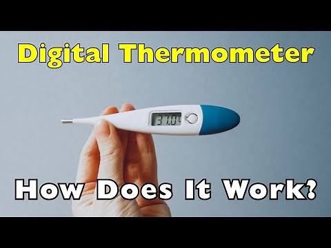 Digital Thermometer: How Does It Work?