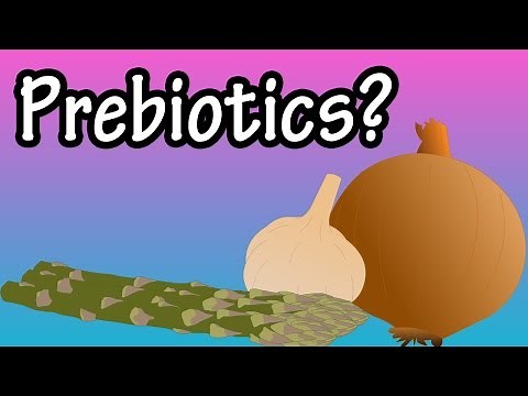 Prebiotics - What Are Prebiotics? - Health Benefits Of Prebiotics - Foods High In Prebiotics