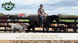 2.4K views | June 1st Catalog Sale Hip# 17 ☘️ Our June 1st Catalog...