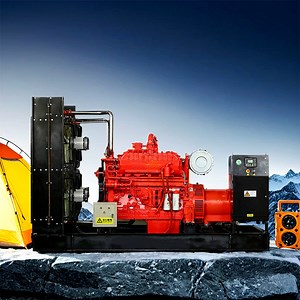 [Hot Item] 350kw High Efficiency Biogas Gas Natural Gas Generator Set Hydrogen Nitrogen Dual Fuel Diesel Wood Gas Silent Type LPG LNG CNG Gas Generator